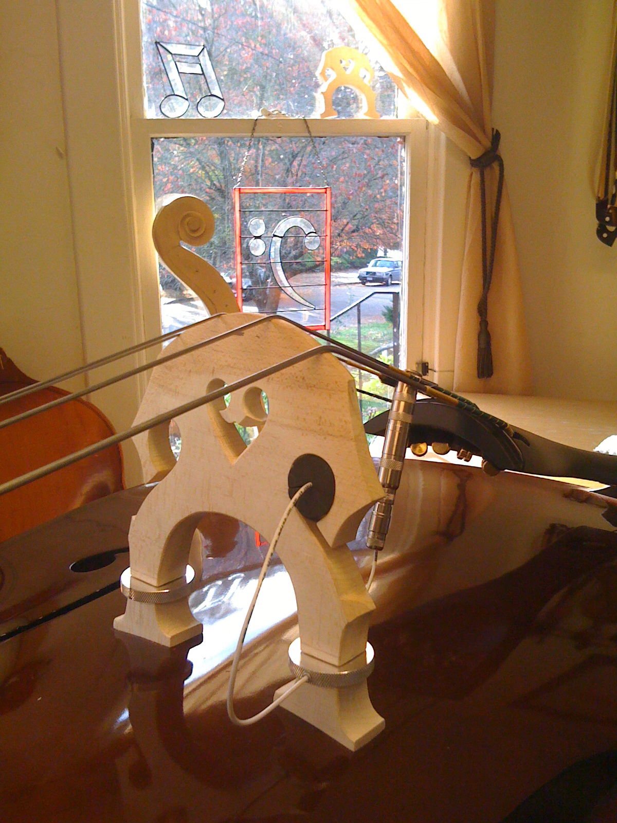 Upright Bass Pickups, Amps, Accessories, Bows Portland OR