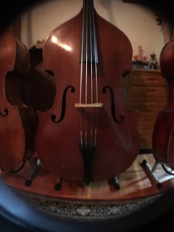 Gibson Laminated Double Bass
