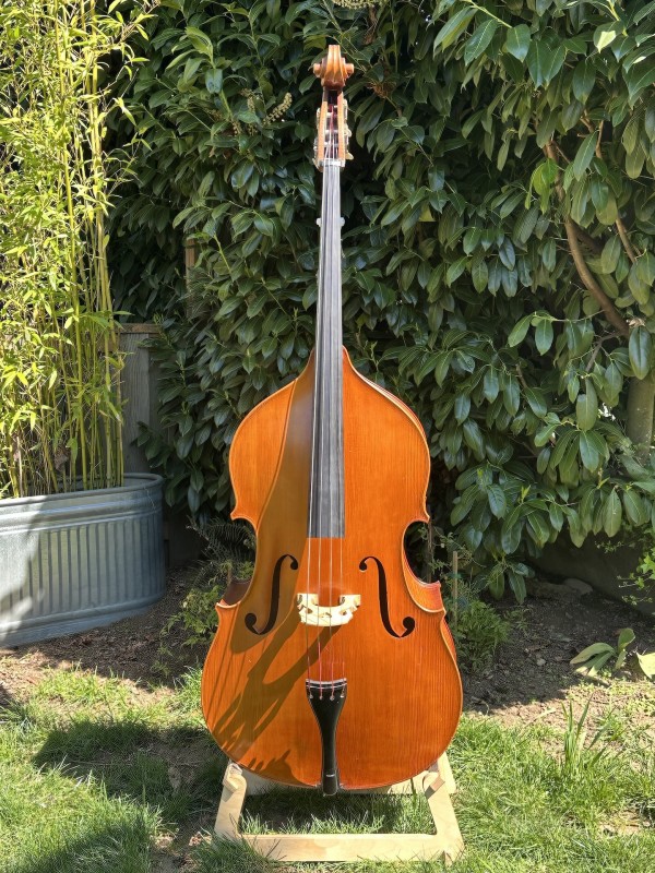 Carpathian Spruce Top